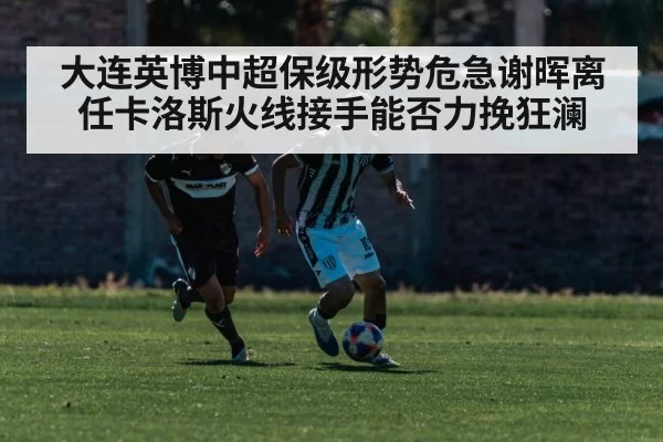 大连英博中超保级形势危急谢晖离任卡洛斯火线接手能否力挽狂澜